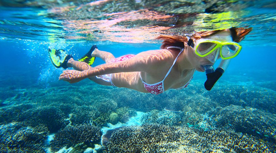 Snorkelling 